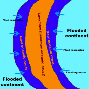 5. Flood regression 1