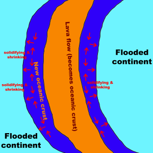 6. Flood regression 2